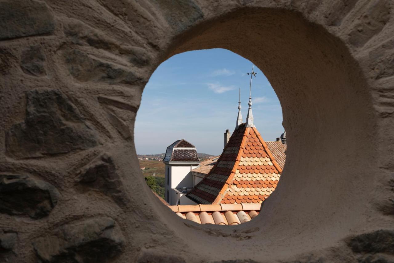 Chateau Du Souzy Quincié-en-Beaujolais Eksteriør bilde